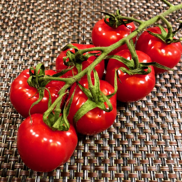 Easy tomato bruschetta recipe - ripe tomatoes
