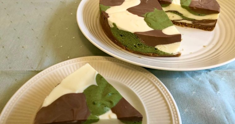Camouflage cheesecake – no bake