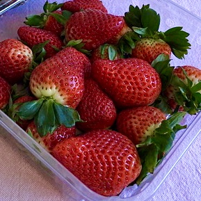 Strawberry mousse - fresh strawberry
